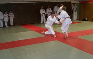 5677ac352c42c_1003257.JPG